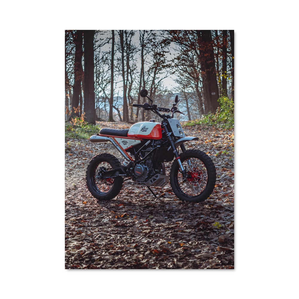 Poster Ride in the Woods